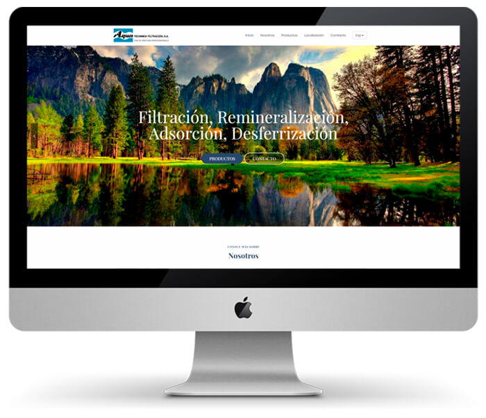 diseño paginas web
